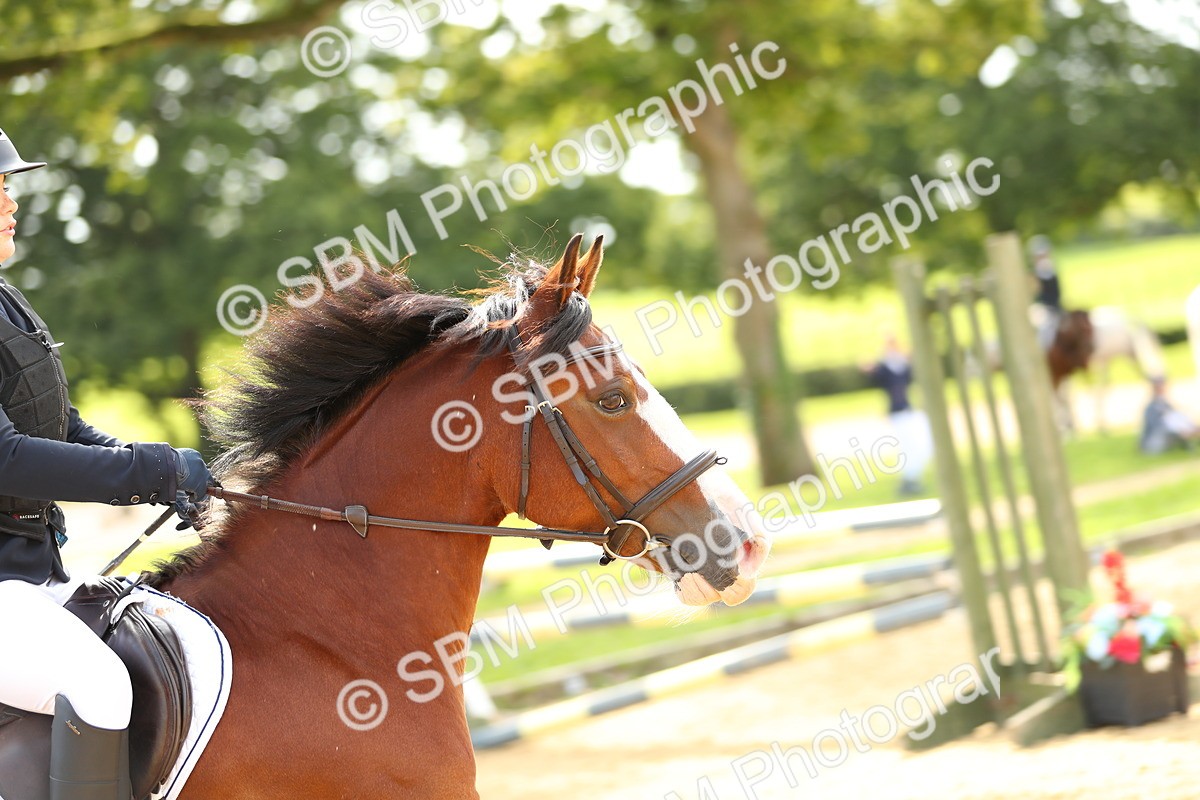 SBM_70176 - J18 - Junior Pony 85cm Championship