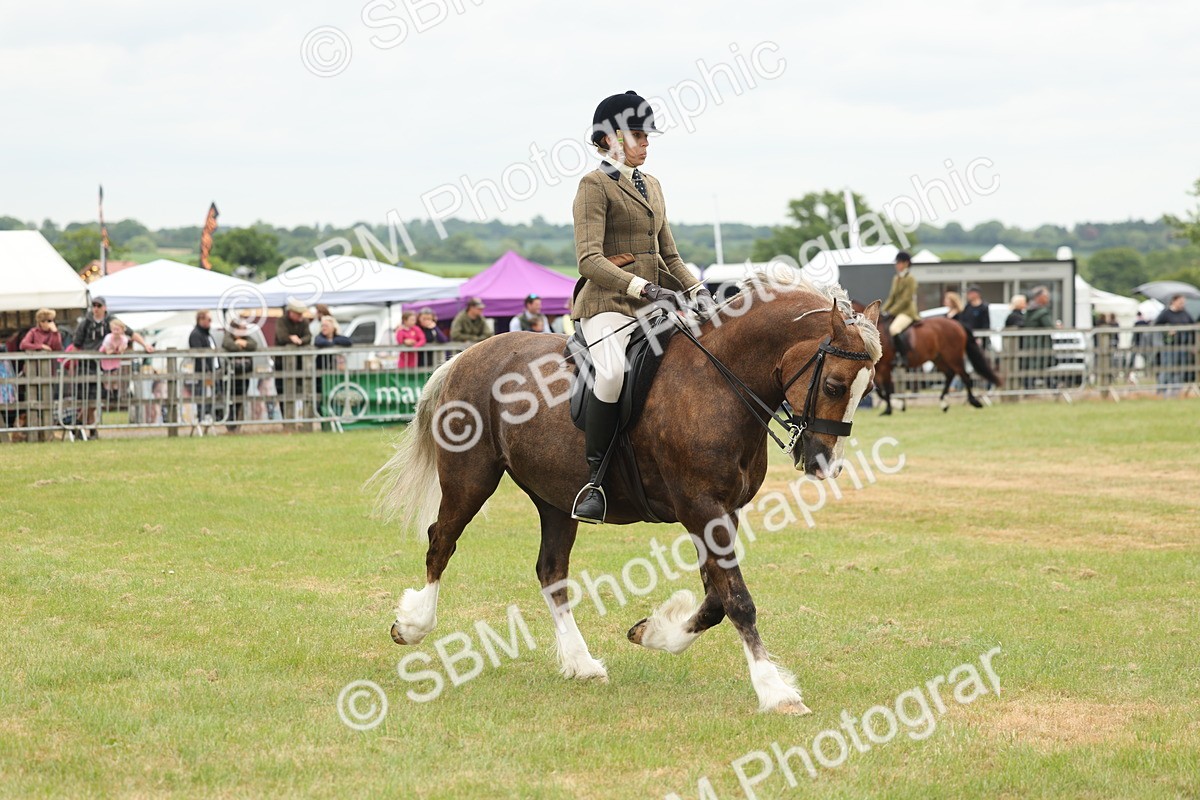 SBM_07203 - Class 76-77 - Ridden M&M Welsh Ponies