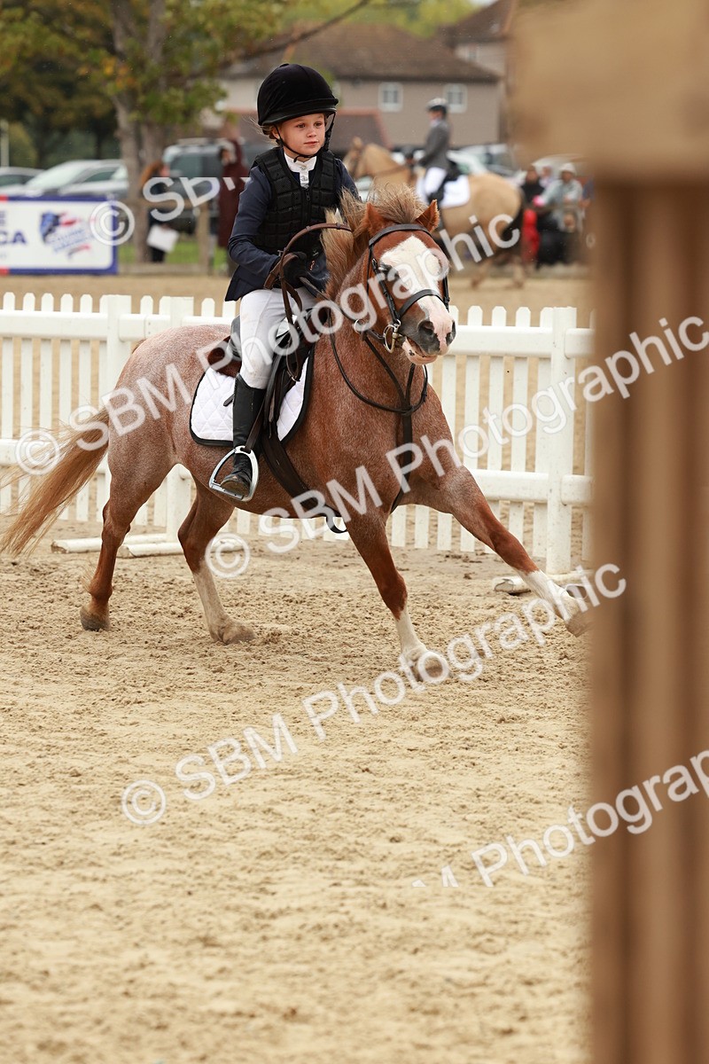 SBM_69165 - J13 - Junior Pony 60cm Championship