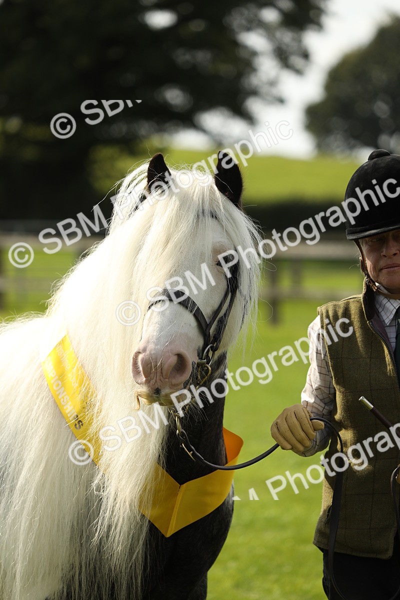 SBM_66334 - In Hand Pony & Youngstock Supreme Championship