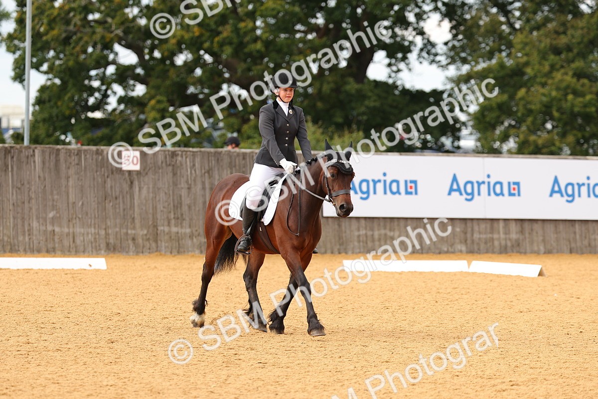 SBM_48242 - D22 - Junior Championship - Intro B