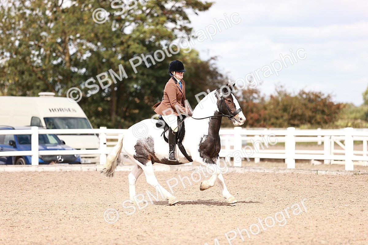 SBM_14481 - Class 410 - Grassroots Ridden - Horse