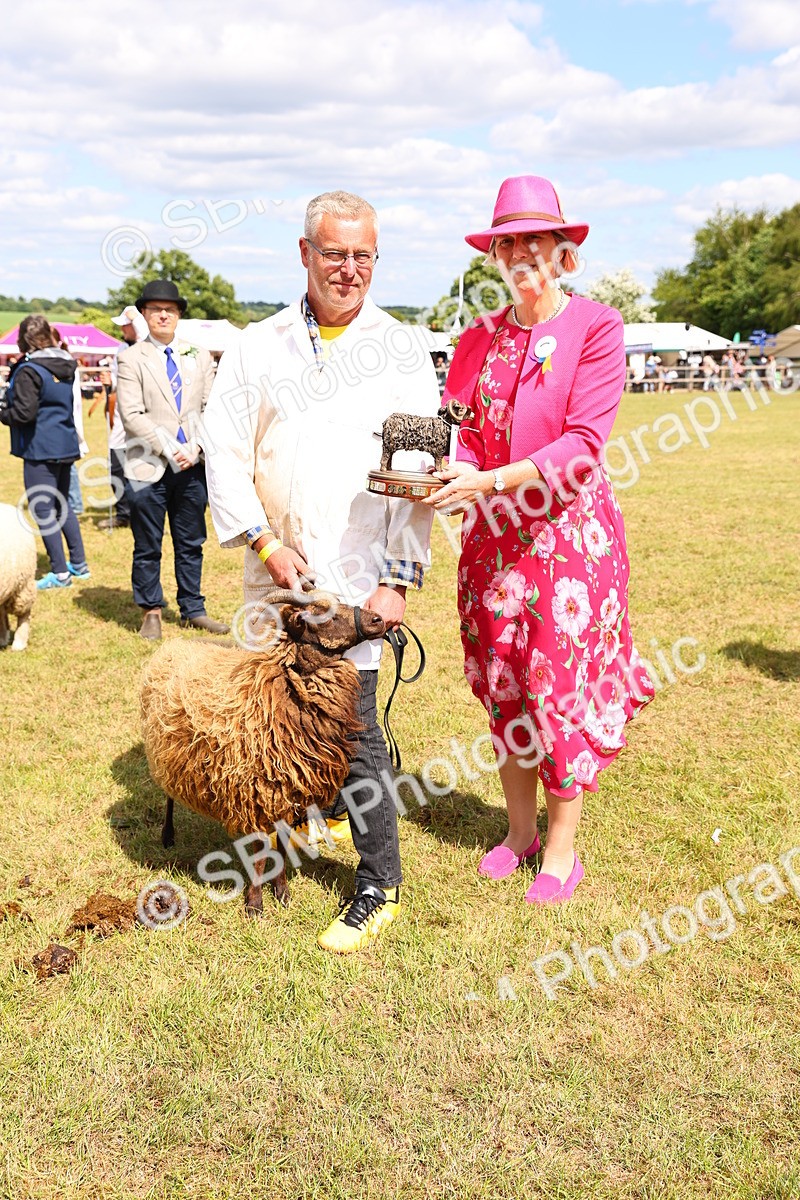 SBM_17003 - Grand Parade