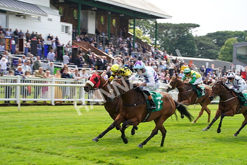 160626-Race 2-Dragon Spin-7 - Race 2 14.50pm PD Hook Gallop Handicap