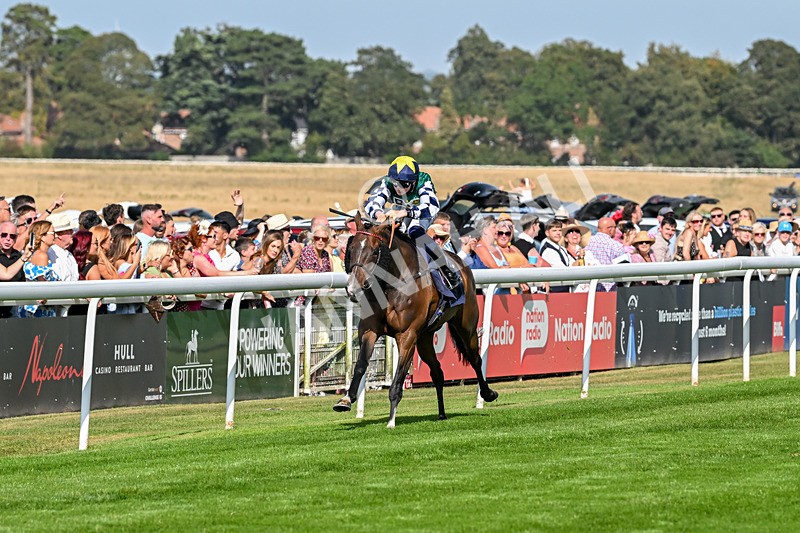 130825-Race 5-Bell Shot-8878 - Race 5