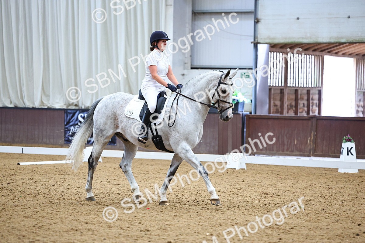 SBM_005486 - Elementary 2