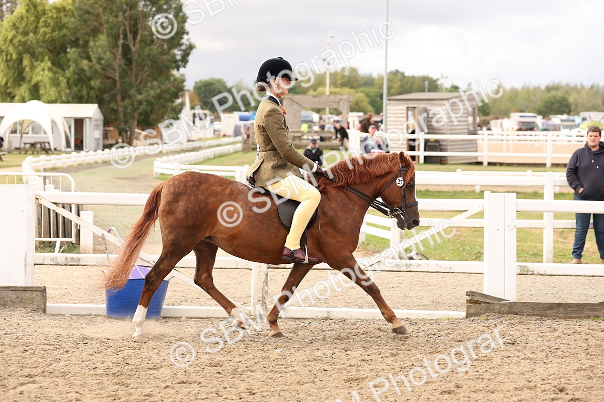 SBM_01596 - Class 52 - Ridden Veteran