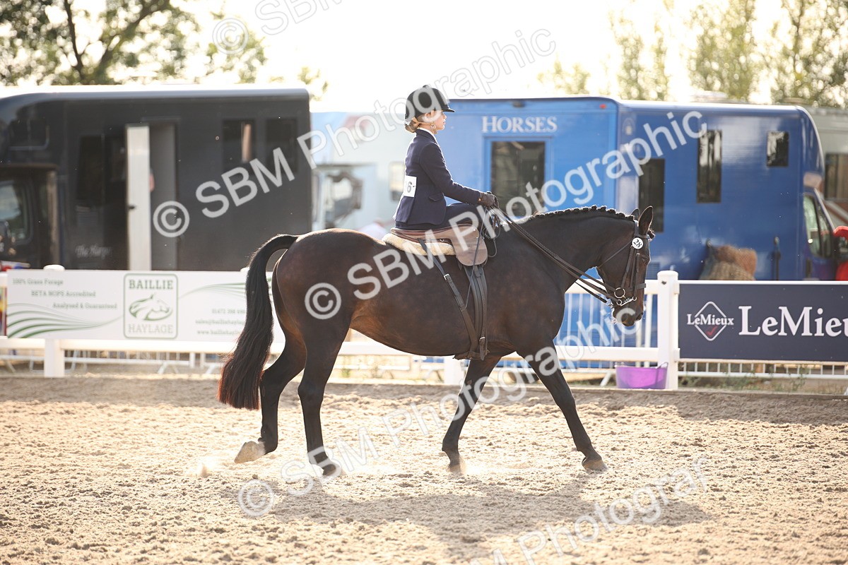 SBM_09185 - Regional Ridden Champ
