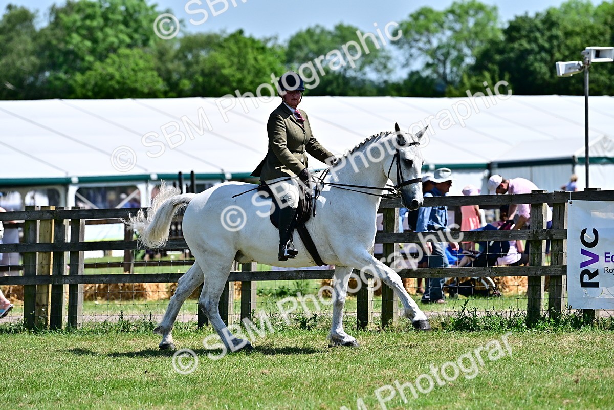 SBM_17495 - Class 95-97 - BSPS LHS Performance Ponies