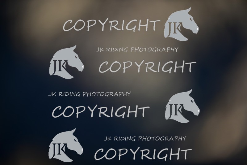 SBP_1045 - 10am - 11am