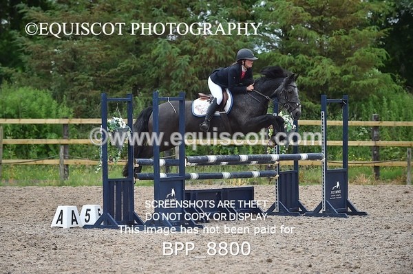 BPP_8800 - CLASS 6 Pony Newcomers/ 1m Open