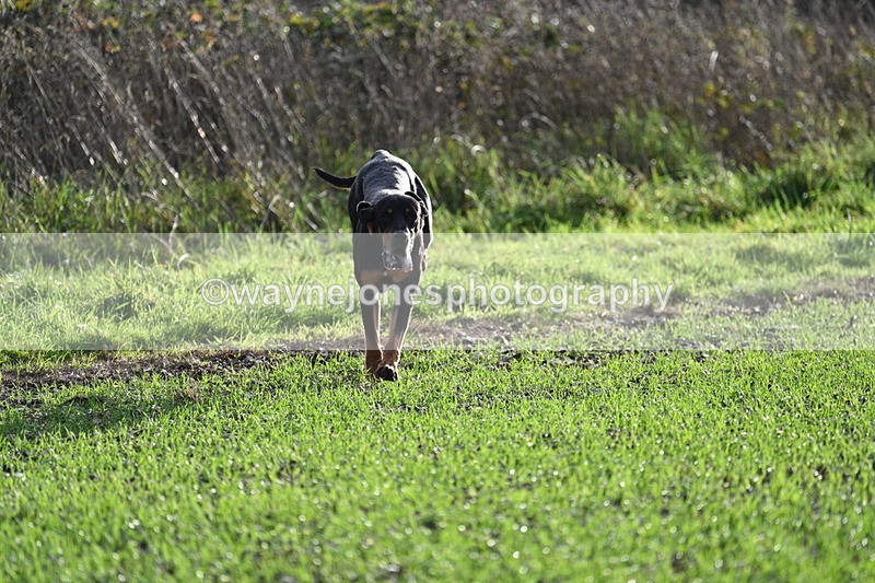 WJ7_3481 - Camera A
