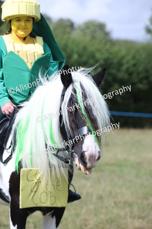 20250831-3555 - Class 26 - Fancy Dress