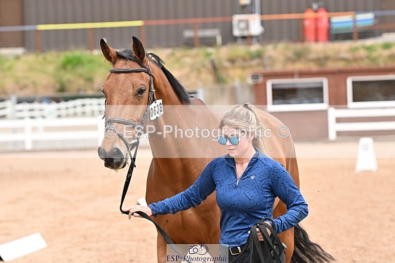 250716-144831-01424 - Trot Up 2.30 to 3.30