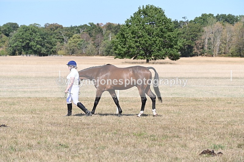 WJ6_9432 - Class 40 Cheekiest Pony/Horse