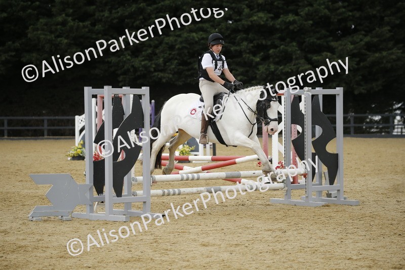 20250622-6401 - 60cm