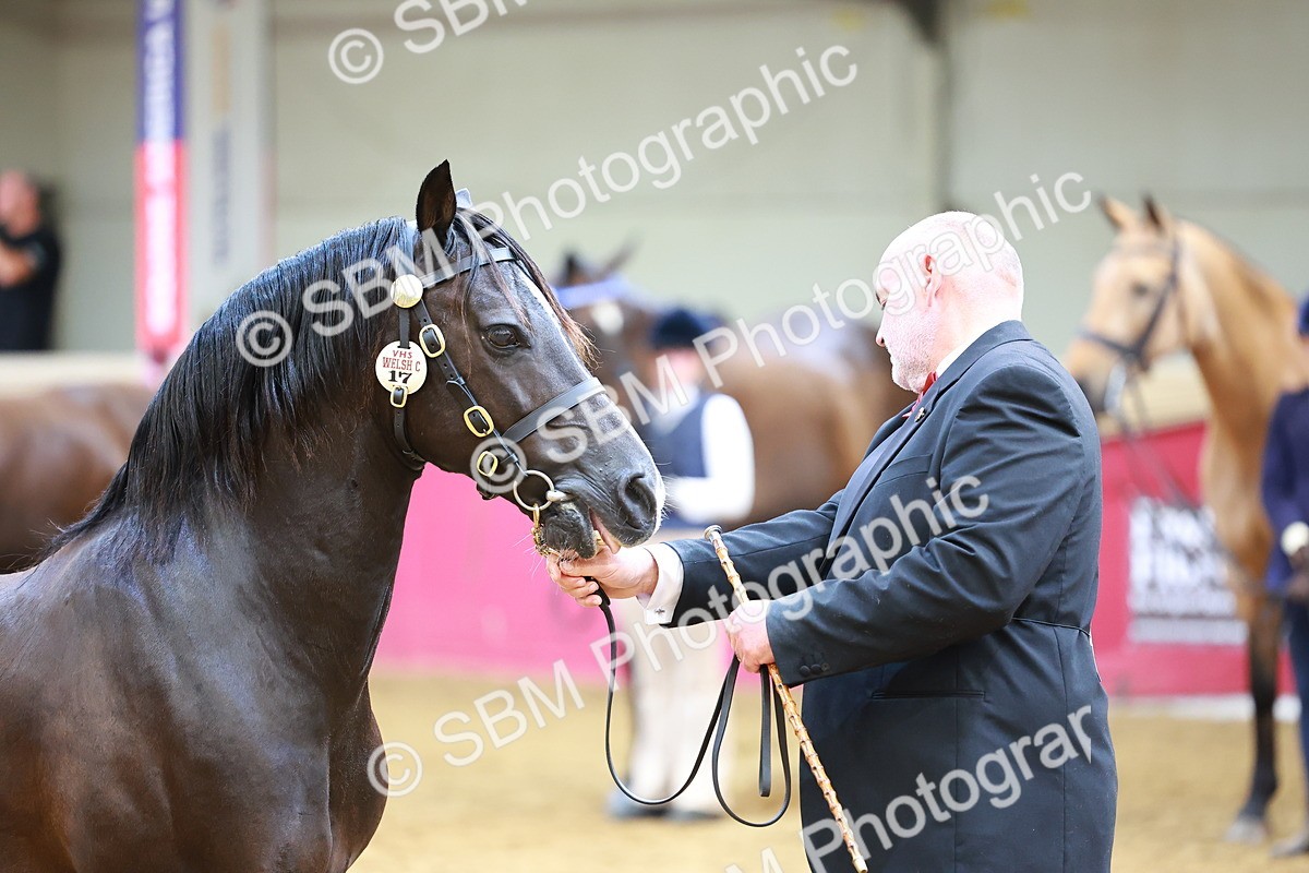 SBM_18700 - Class 903 - Sup Final - IH Pre Vet