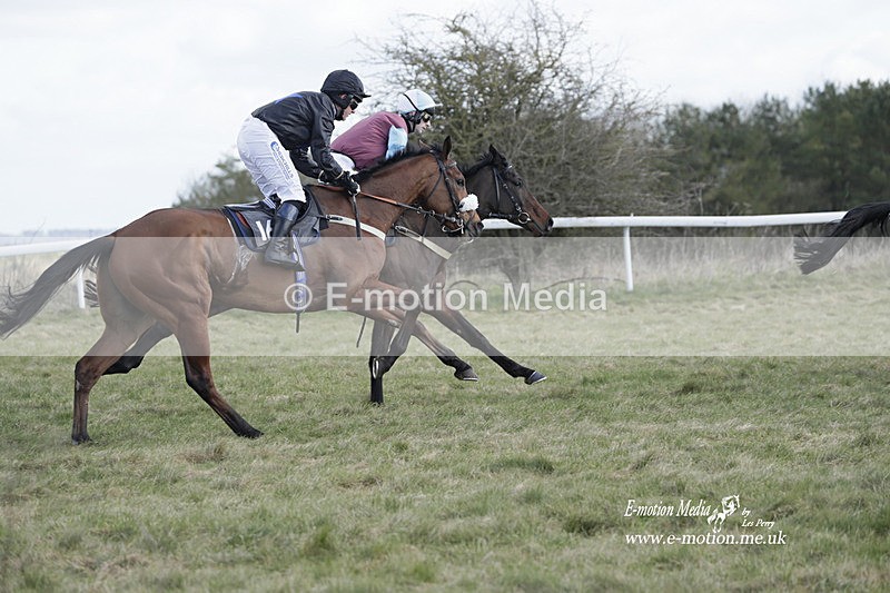 PtP 260223 439 - South & West Wilts Point-to-Point Larkhill 26/02/23