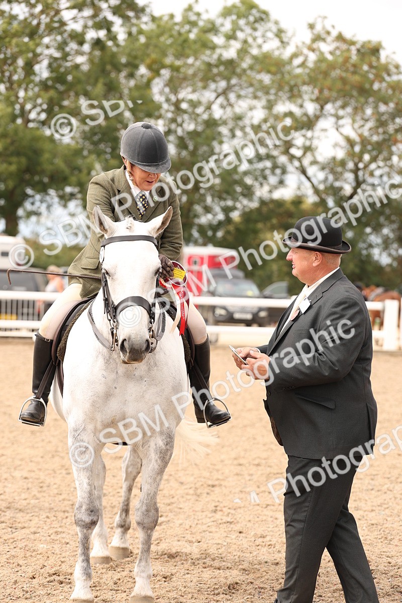 SBM_16523 - Class 212 - Ridden Hunter - Small