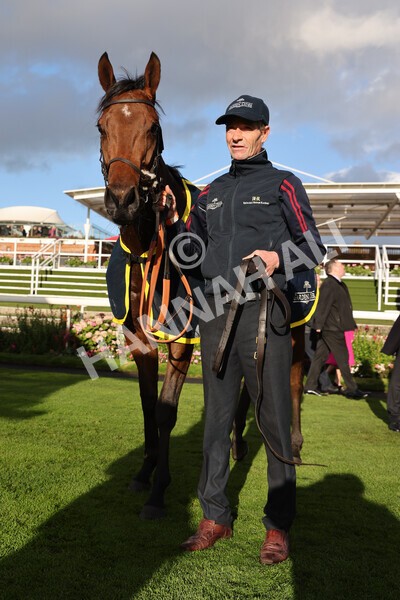 yr07102022r5-40 - Race 5 4.25pm Copper Knight Winningmost Horse Stakes