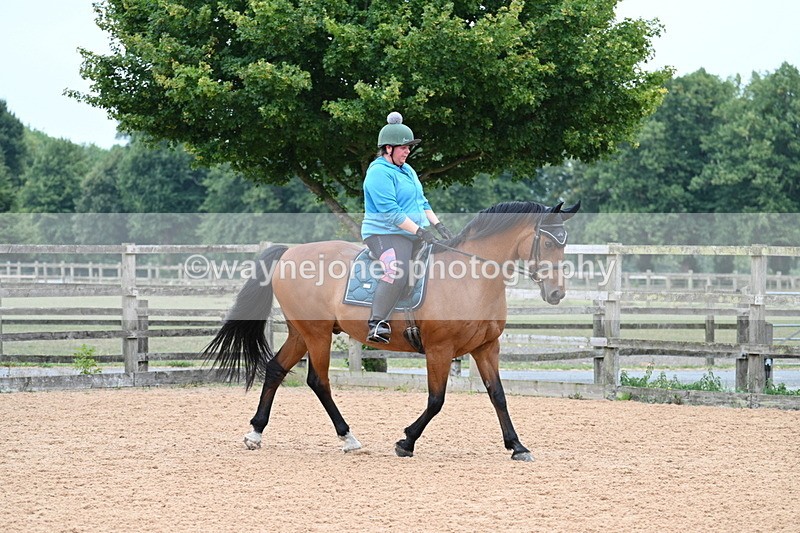 WJ7_8370 - Poles 11:00am