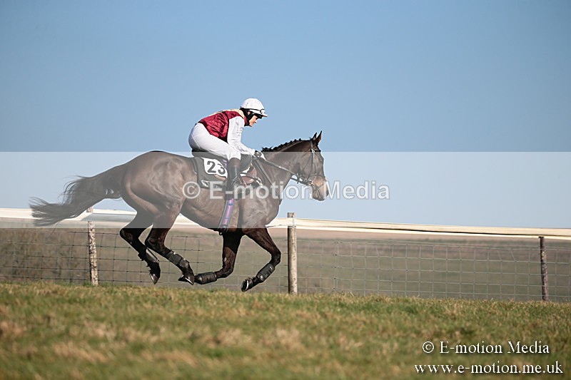 PtP 230219 399 - Vine & Craven Point-To-Point - Barbury 23/02/19