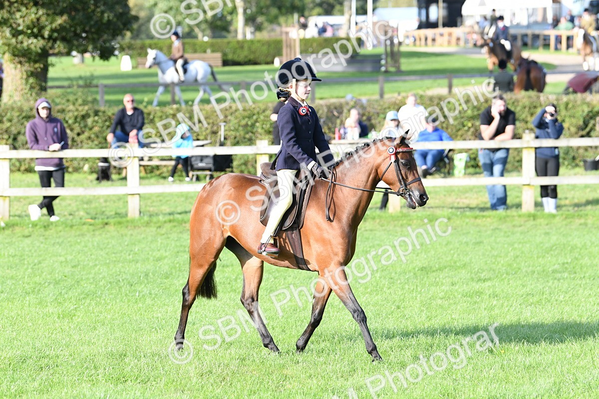 SBM_52404 - S22 - 1st Ridden Show & Show Hunter Pony