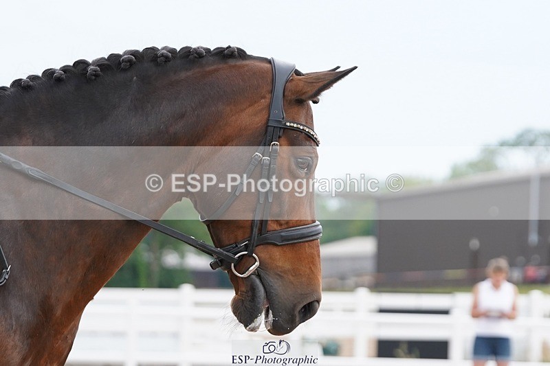 250621-103906-05698 - Quest Cls 7-11, Prelim All