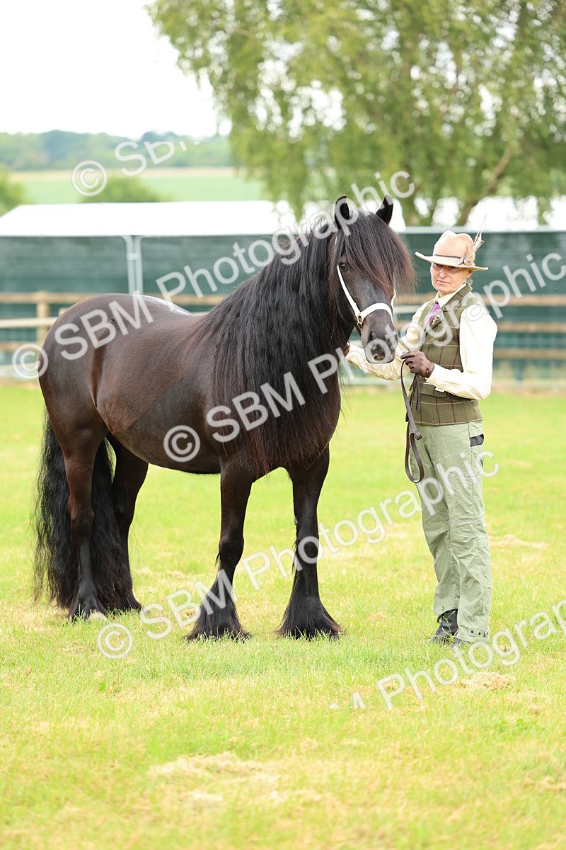 SBM_00558 - Class 58-67 - M&M Non Welsh Pony In hand