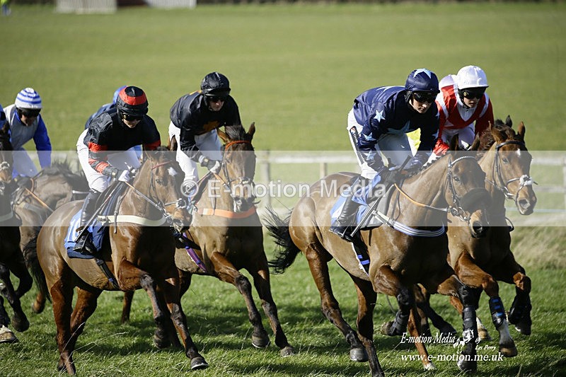 PtP 260222 349 - Kingston Blount Racing Club Point-to-Point 26/02/22
