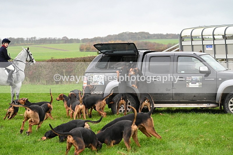 WJ7_8879 - Meet Staff & Hounds