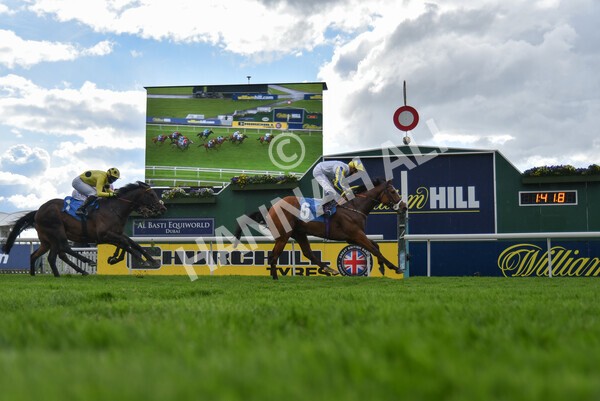 yr22052021r6-46 - Race 6 4.55pm Reg Bond