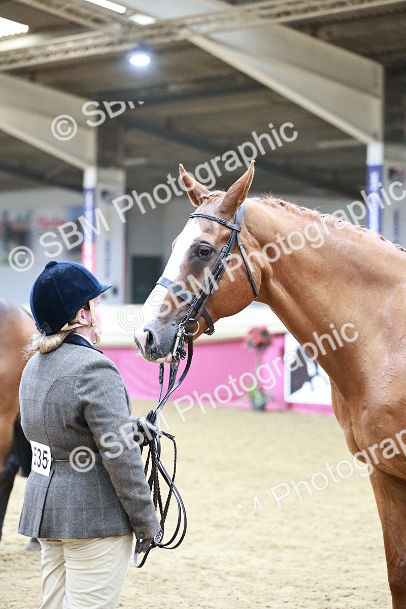 SBM_06646 - Regional - IH Champs