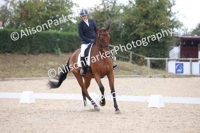 20250820-0376 - Class 11 - My Quest Novice 3