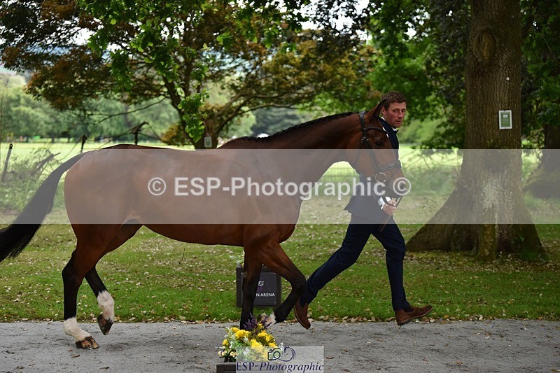 240522-150708-00099 - 306-EVENSTAR-Matthew_Hecking