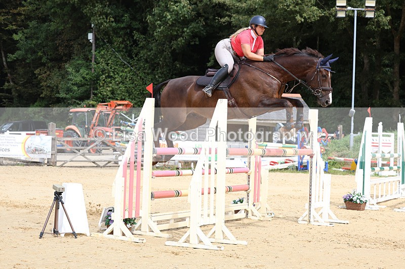 3E7A4303 - Class 8: Senior Foxhunter/1.20 open