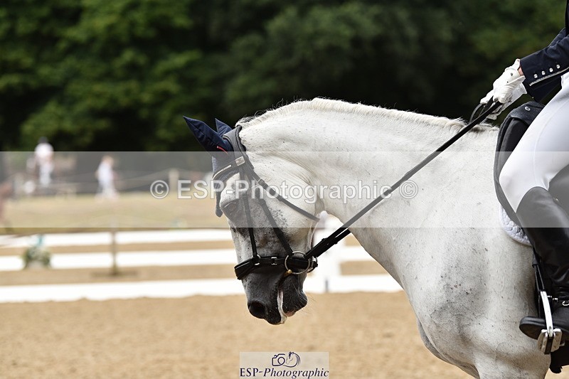 140110A-002818-10623 - 080-Polly.Vogel-Loughamore.Lady