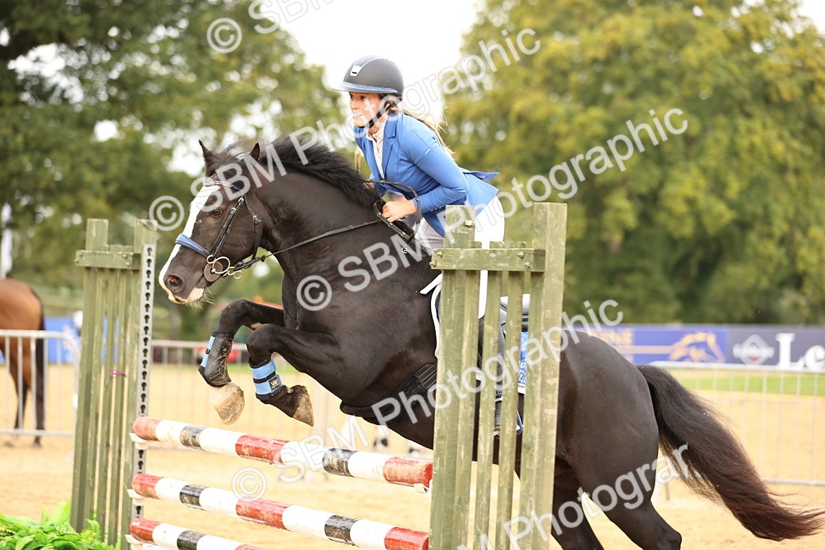 SBM_58270 - J41 - Grand Tour Horse & Pony 95cm
