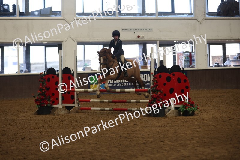 20260314-3342 - 80cm