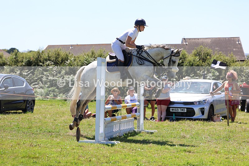3E7A5460 - Class 9: Senior British Novice/90cm open