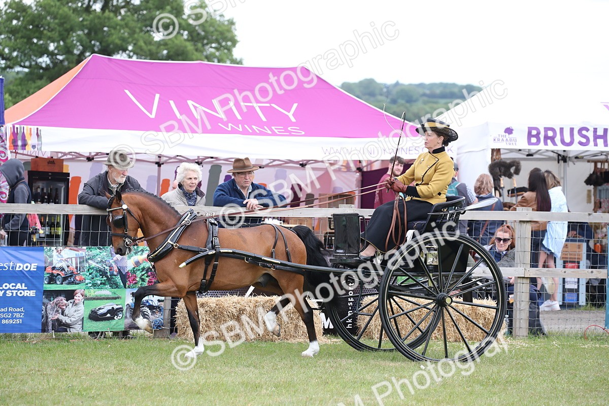 SBM_05852 - Class 12-15 - HOYS Private Driving
