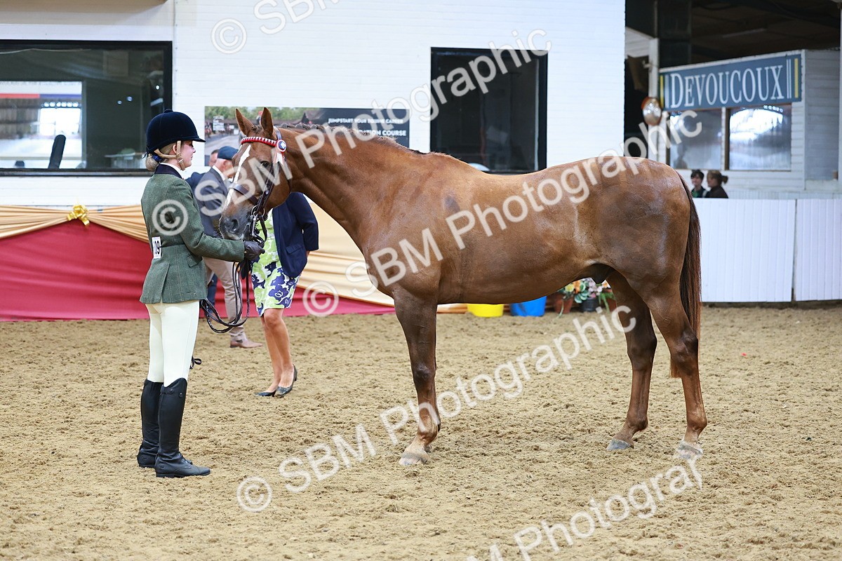 SBM_09808 - Class 102 - HOYS Veteran Qualifier - Ridden Veteran