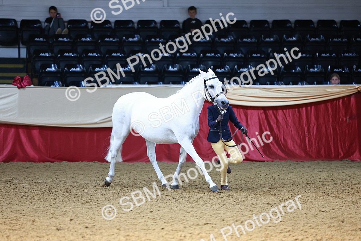 SBM_22342_Class 902 - Supreme Final - IH Veteran - Vicky Gutteridge
