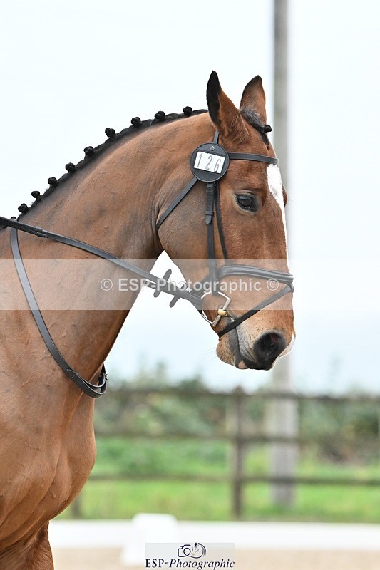 241103-085958-00678 - Prelim 1 - 8.30 to 9.54