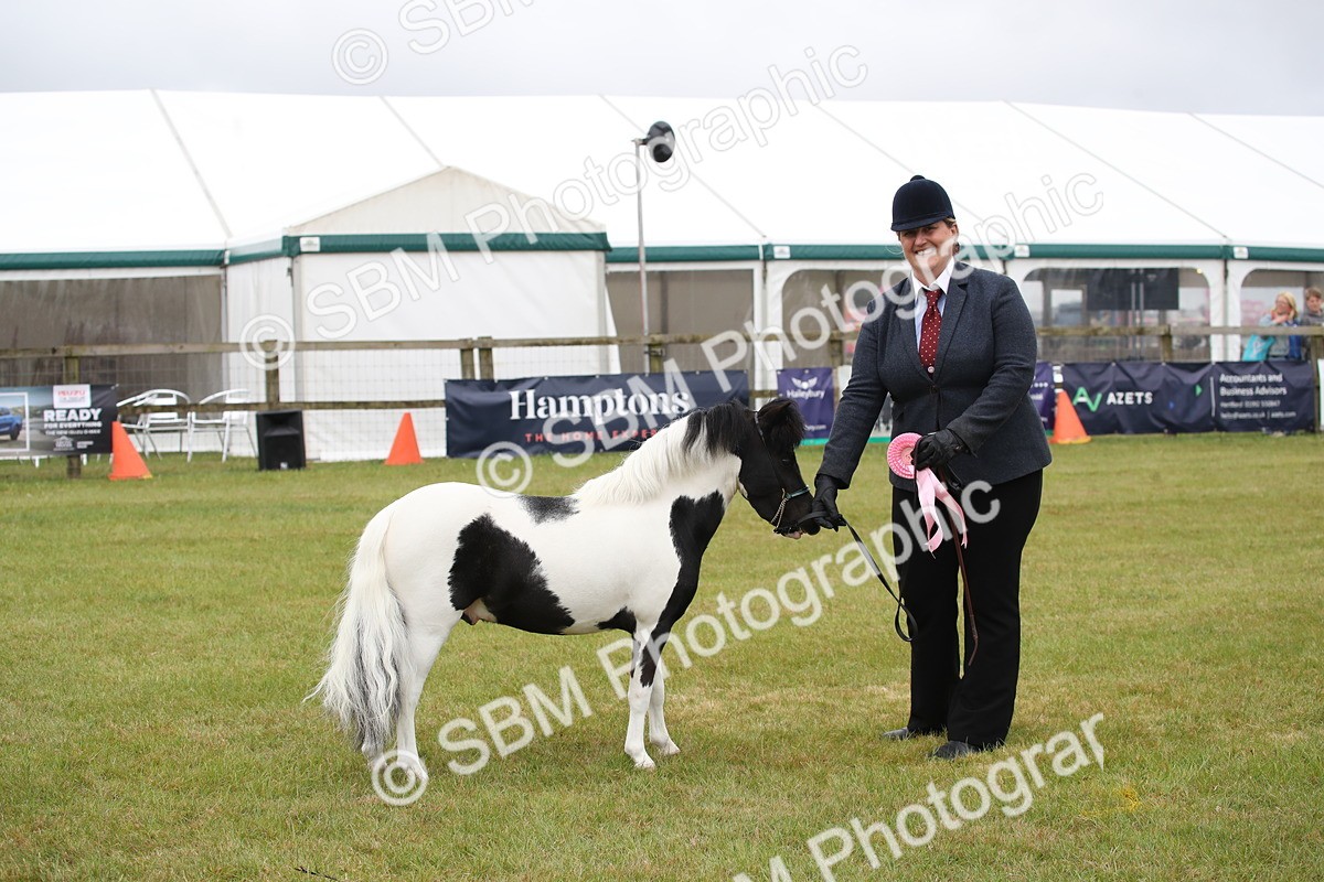 SBM_03841 - Class 23-25 - British Miniature Horse of the Year