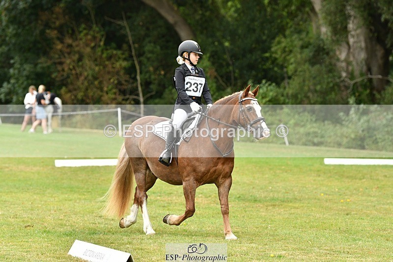 250820A-121617-05521 - 12 to 13.00