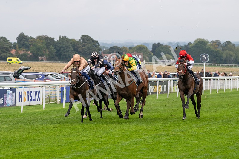 240924-Race 2-The Trickster-5916 - Race 2