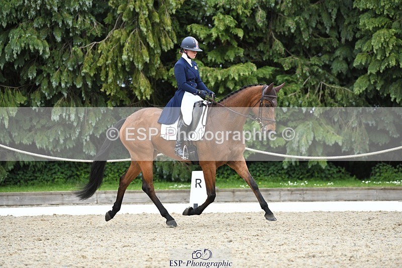 230525-143549-03146 - 322-CHANSON_DU_VILLAGE-Phoebe_Locke-WEDTrotUp+DR