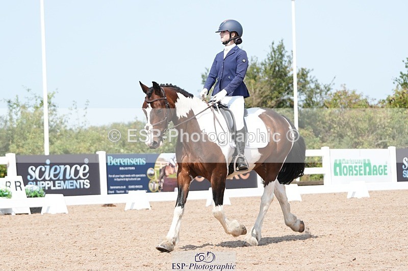 250817-122337-09303 - 050-Mollie.SheathTouch.Wood