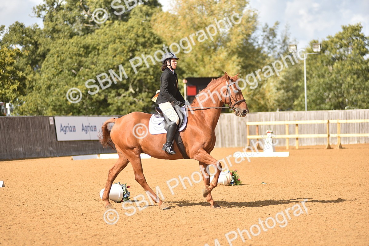 SBM_24236 - D4 - Small Tour Championship Intro 4